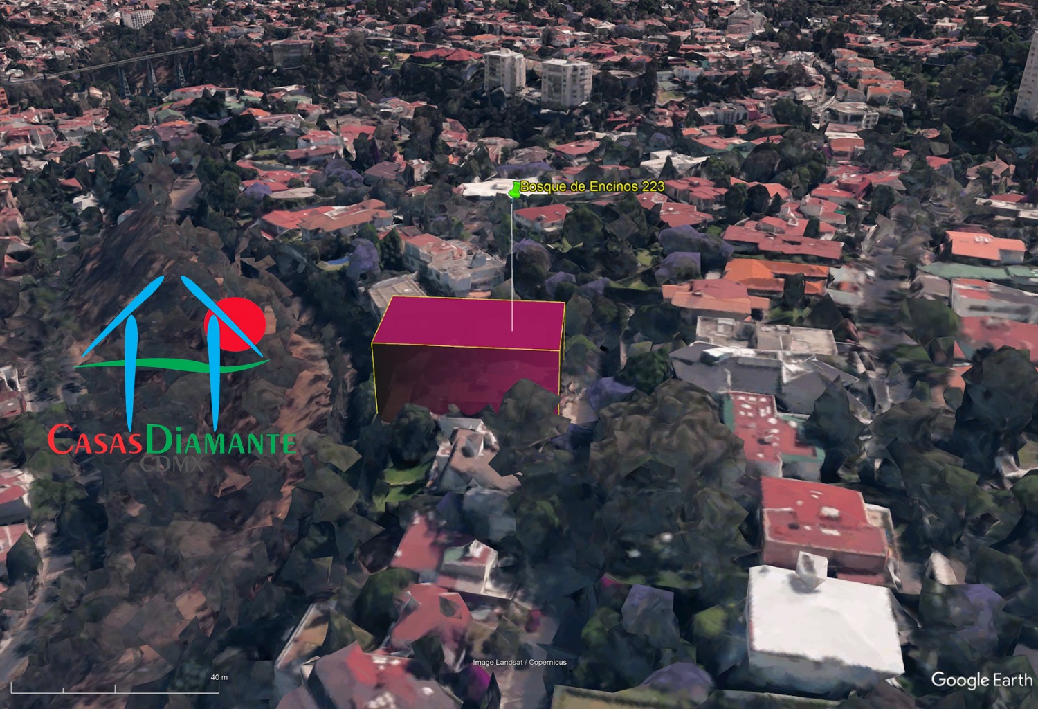 Bosques de las Lomas Terreno Jaguar BBC - Vista satelital 5